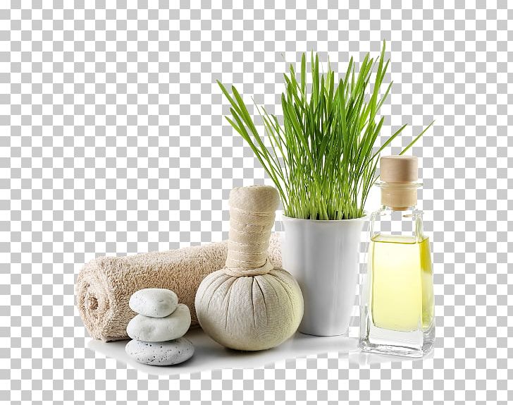 White Bamboo Spa Massage Day Spa Beauty Parlour PNG, Clipart, Acupressure, Bamboo, Beauty Parlour, Day Spa, Exfoliation Free PNG Download