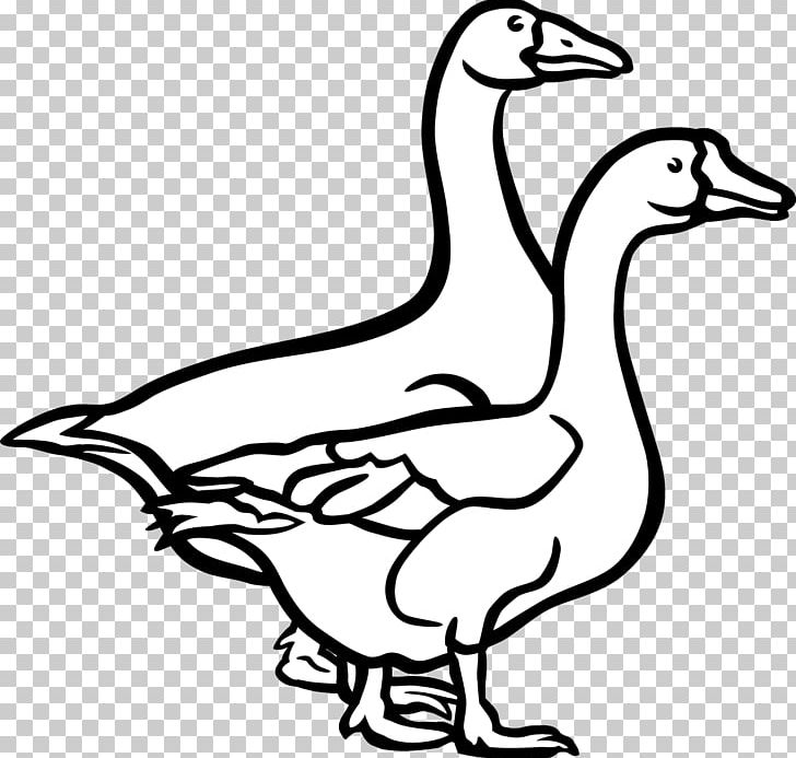Goose Duck Bird Black And White PNG, Clipart, Animal, Animals, Fauna, Handpainted Flowers, Happy Birthday Vector Images Free PNG Download