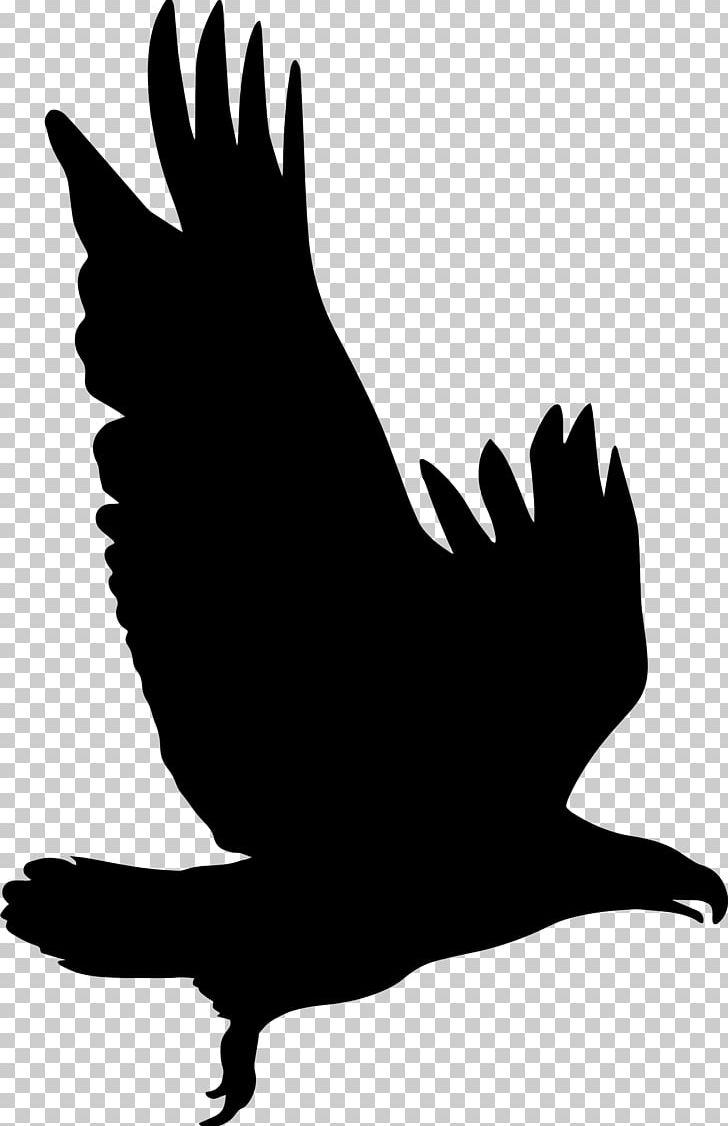 Silhouette Eagle PNG, Clipart, Animal, Animals, Beak, Bird, Black And White Free PNG Download