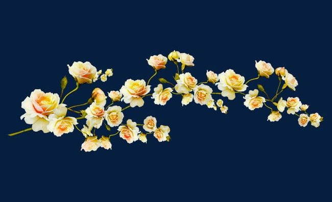 Yellow Flowers Branch PNG, Clipart, Beautiful, Branch Clipart, Branches, Colors, Decorative Free PNG Download