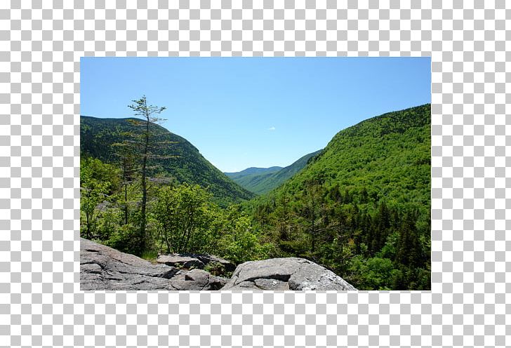 Crawford Notch Campground Mountain Pass New Hampshire Division Of Parks And Recreation New Hampshire State Parks PNG, Clipart, Biome, Forest, Landscape, Mountainous Landforms, Mount Scenery Free PNG Download