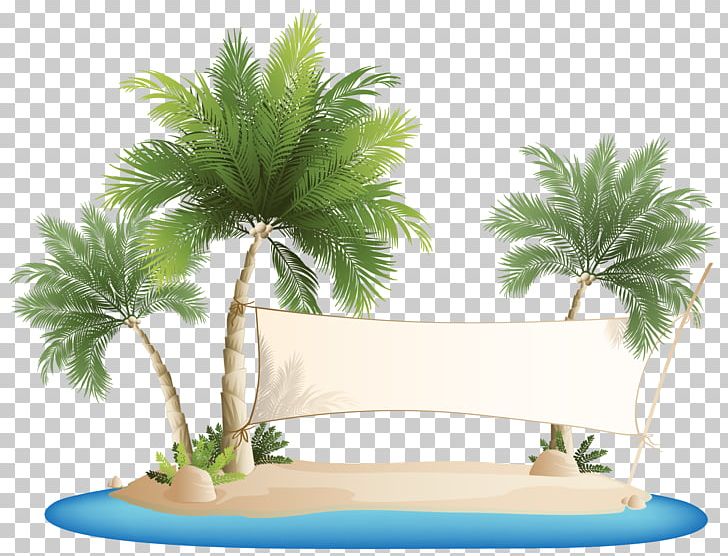Palm Islands Beach PNG, Clipart, Arecales, Autumn Tree, Banners, Banner Vector, Christmas Tree Free PNG Download