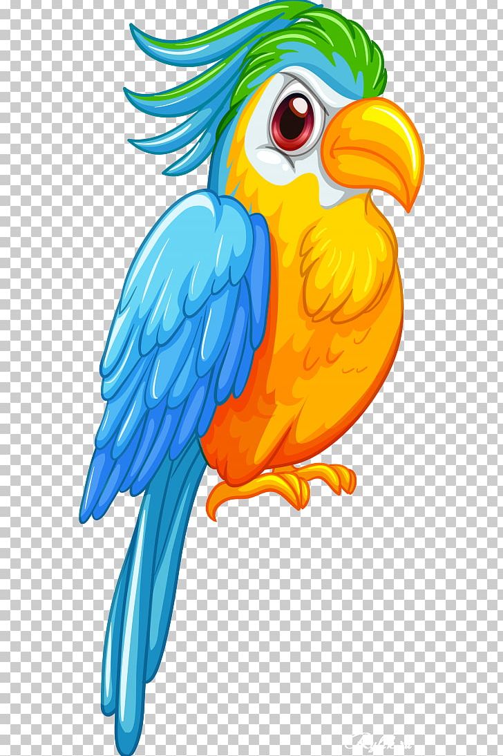 Parrot Bird Macaw PNG, Clipart, Amazon Parrot, Animals, Bird, Blu, Drawing Free PNG Download