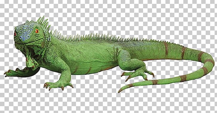 Lizard Reptile Green Iguana Chameleons PNG, Clipart, Animal, Animal Figure, Chameleon, Chameleons, Common Basilisk Free PNG Download
