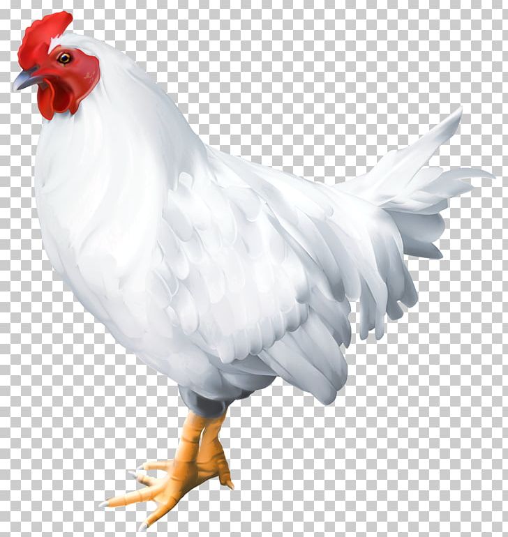 Solid White Bird Rooster Poultry PNG, Clipart, Beak, Bird, Birds, Chicken, Clip Art Free PNG Download