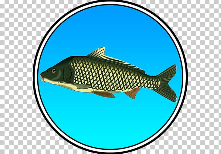 True Fishing (key) Pro Pilkki 2 PNG, Clipart, Android, Aptoide, Carp, Fauna, Fish Free PNG Download
