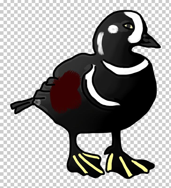 Duck Goose PNG, Clipart, Animals, Background Black, Beak, Bird, Black Free PNG Download