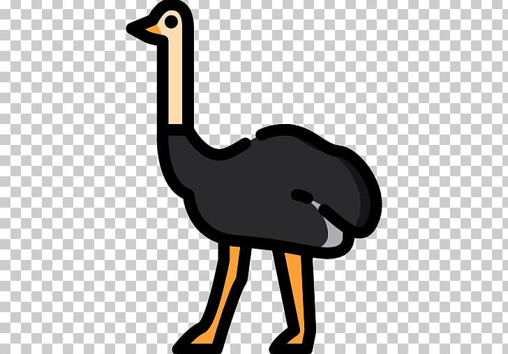 Common Ostrich Water Bird Beak PNG, Clipart, Animals, Artwork, Autor, Beak, Bird Free PNG Download