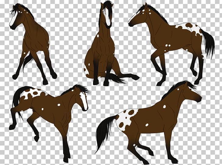 Mustang Foal Mare Stallion Colt PNG, Clipart, Animal, Bridle, Calcifer, Colt, English Riding Free PNG Download