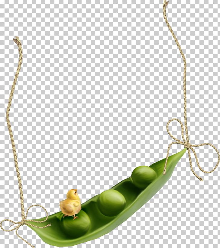 Snow Pea Mung Bean Green Bean Vegetable PNG, Clipart, Bean, Common Bean, Food Drinks, Green Bean, Jewellery Free PNG Download