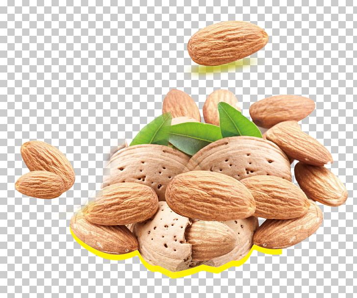 Almond Milk Nutrient Nutrition Fat PNG, Clipart, Almond Nut, Almonds, Almond Vector, Auglis, Cashew Nuts Free PNG Download