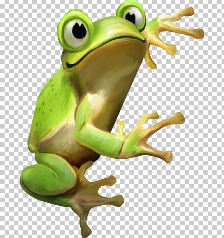Edible Frog Drawing Amphibians PNG, Clipart, Amphibian, Amphibians, Animals, Drawing, Edible Frog Free PNG Download