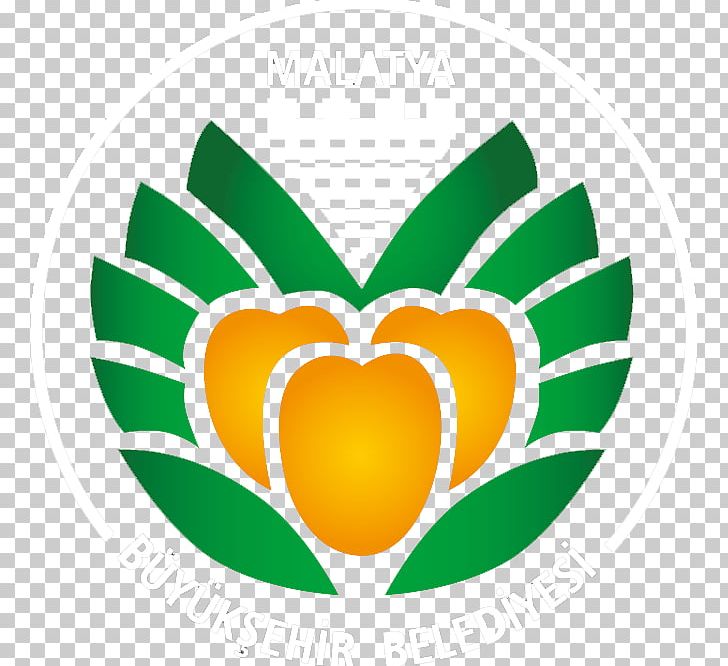 Malatya Municipality Metropolitan Municipality Yeşilyurt Belediyesi State Personnel Presidency PNG, Clipart, Cdr, Flower, Fruit, Green, Heart Free PNG Download