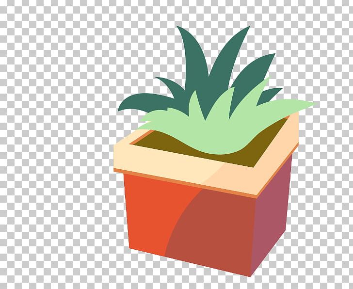 Beautiful Bonsai Cactaceae PNG, Clipart, Bonsai, Box, Cactaceae, Cactus, Cactus Cartoon Free PNG Download