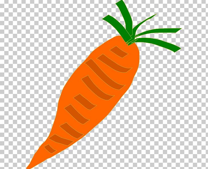 Carrot Soup Vegetable PNG, Clipart, Baby Carrot, Carrot, Carrot Soup, Cartoon Carrot, Download Free PNG Download
