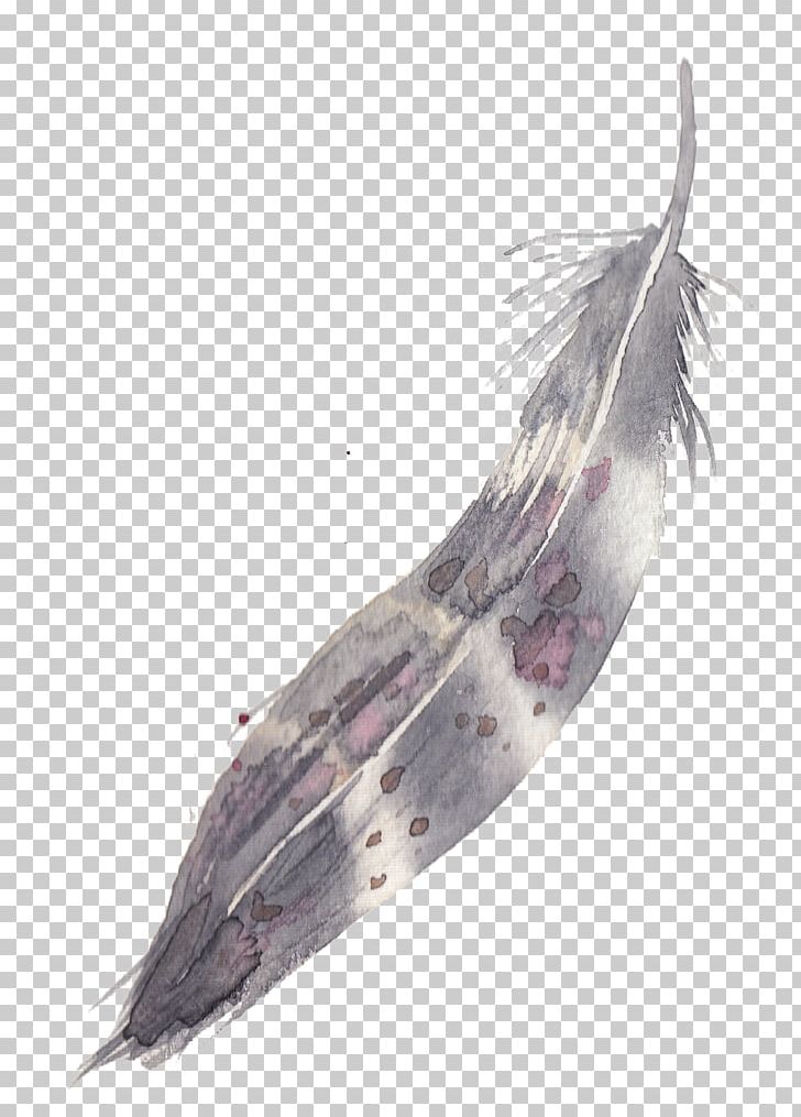 Feather Watercolor Painting PNG, Clipart, Adobe Illustrator, Animals, Encapsulated Postscript, Fauna, Feather Pen Free PNG Download