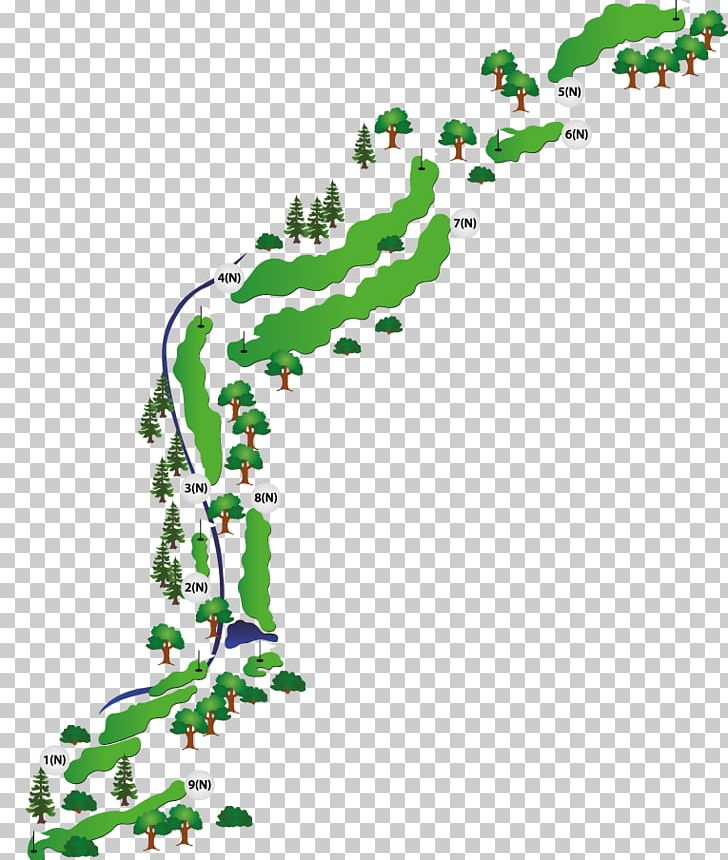 Green Line Point Leaf PNG, Clipart, Area, Art, Branch, Flora, Flowering Plant Free PNG Download