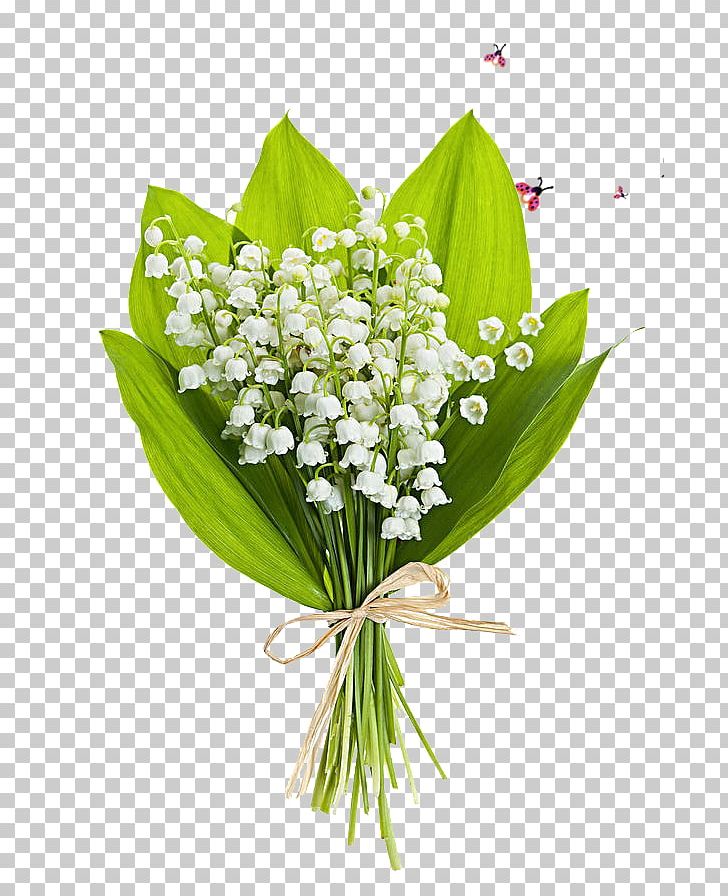 Lily Of The Valley Flower Bouquet Stock Photography Perfume PNG, Clipart, Art, Beautiful, Bouquet, Can Stock Photo, Convallaria Free PNG Download