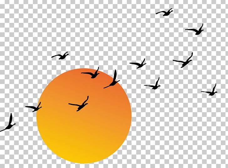 Sunset Euclidean PNG, Clipart, Abstract, Angle, Art, Computer Graphics, Dayan Free PNG Download