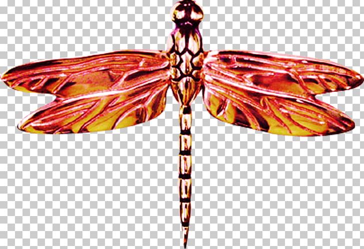 Butterfly Dragonfly Icon PNG, Clipart, Animal, Arthropod, Butterflies And Moths, Cartoon, Download Free PNG Download