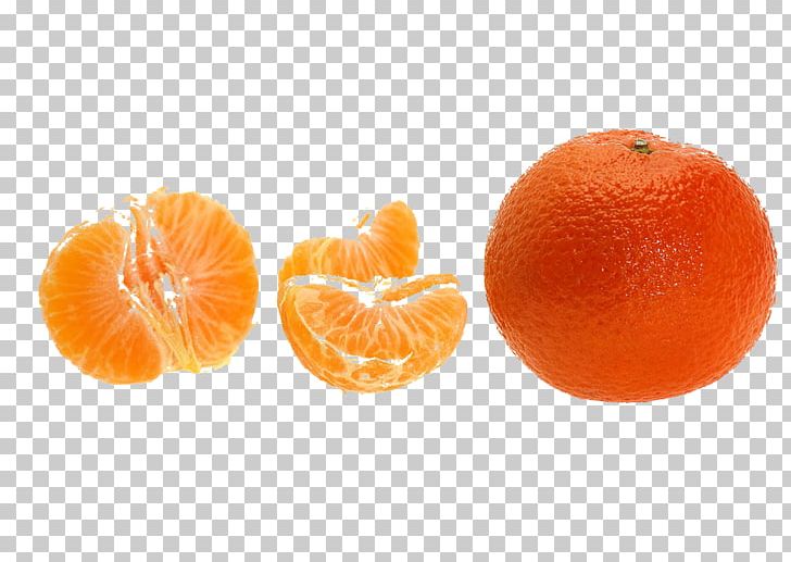 Clementine Mandarin Orange Blood Orange Tangerine Tangelo PNG, Clipart, Bitter Orange, Chenpi, Citric Acid, Citrus, Clem Free PNG Download