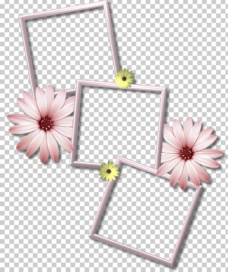 Frames Desktop PNG, Clipart, Collage, Computer Software, Cut Flowers, Desktop Wallpaper, Encapsulated Postscript Free PNG Download