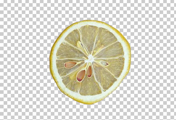 Lemon Computer File PNG, Clipart, Citric Acid, Citrus, Cucumber Slices, Download, Dried Lime Free PNG Download