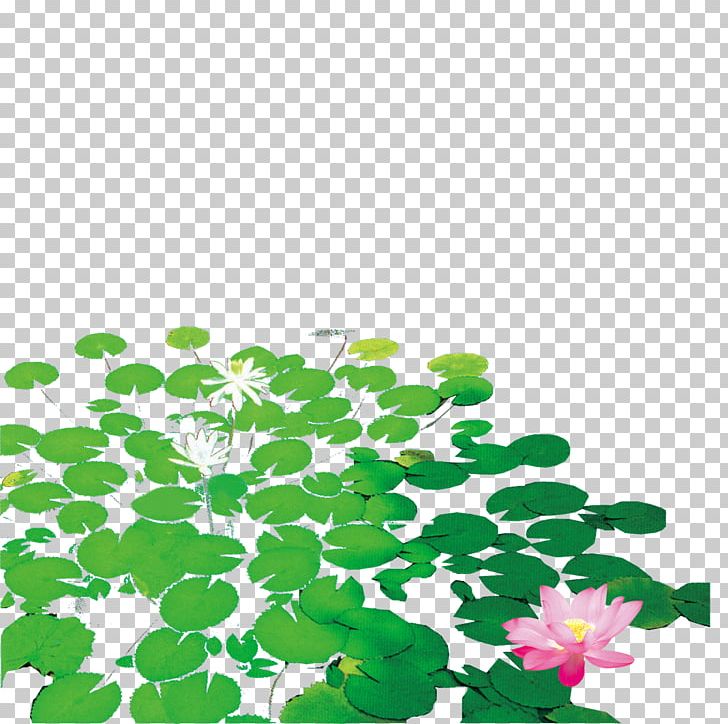 Nelumbo Nucifera PNG, Clipart, Cartoon Pond, Download, Drawing, Encapsulated Postscript, Euclidean Vector Free PNG Download