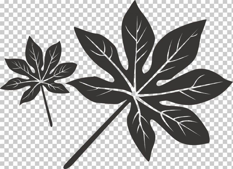 Leaf PNG, Clipart, Black, Black And White, Flower, Leaf, Line Free PNG Download