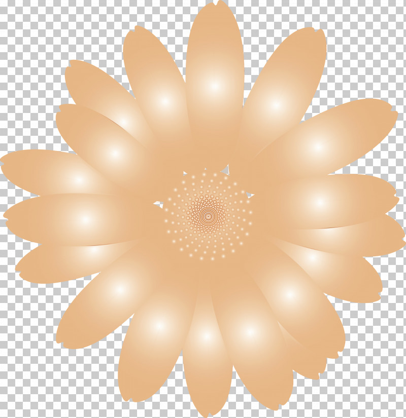 Daisy PNG, Clipart, Circle, Daisy, Daisy Family, Flower, Gerbera Free PNG Download