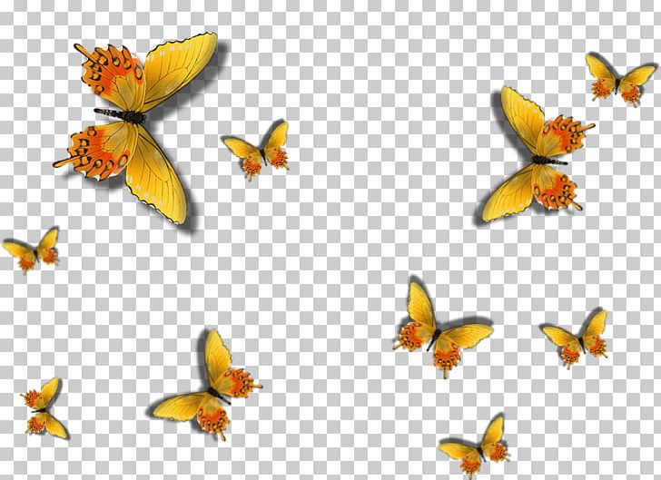 Butterfly GIMP Insect PNG, Clipart, Beak, Brush Footed Butterfly, Butterfly, Fauna, Fazer Free PNG Download