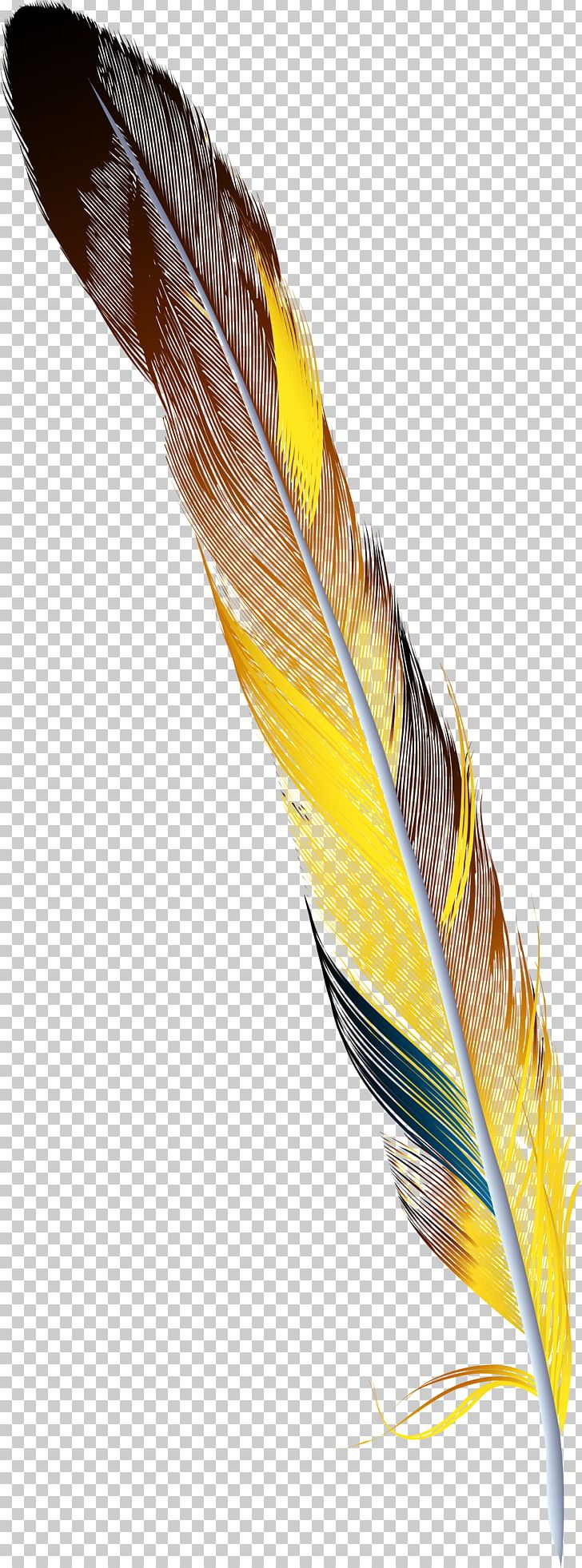 Feather Drawing PNG, Clipart, Abstract, Animals, Beak, Bird, Color Free PNG Download