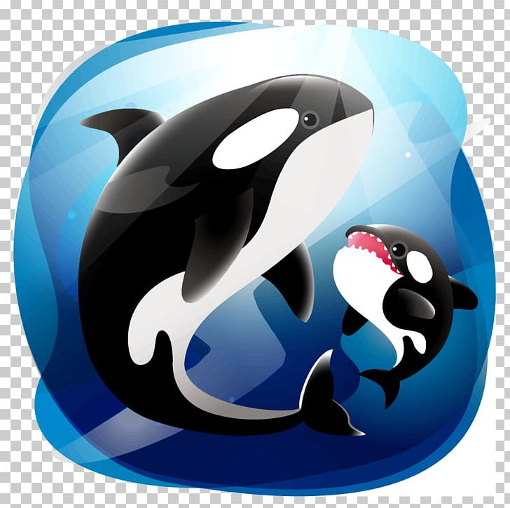 Bowhead Whale Dolphin Killer Whale Cetacea PNG, Clipart, Animal, Animals, Bicycle Helmet, Blue Whale, Bowhead Whale Free PNG Download