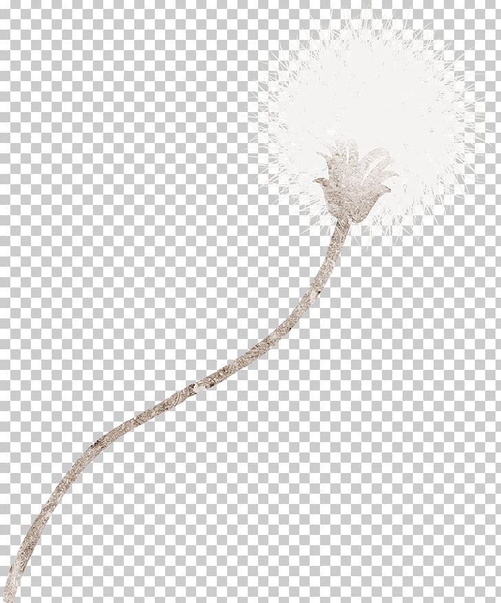 Dandelion Cartoon Flower PNG, Clipart, Adobe Illustrator, Beige, Cactaceae, Cartoon, Christmas Decoration Free PNG Download