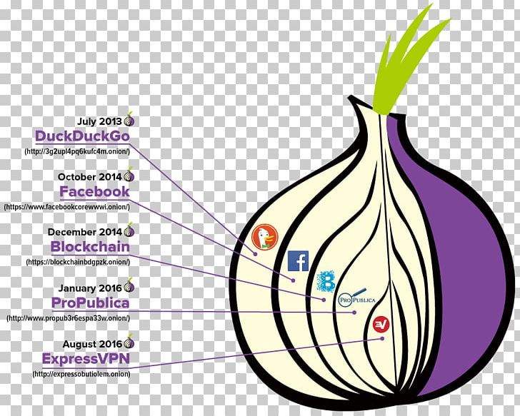 .onion Dark Web Tor Web Browser OpenVPN PNG, Clipart, Anonymity, Antonyms, Area, Computer Servers, Darknet Free PNG Download