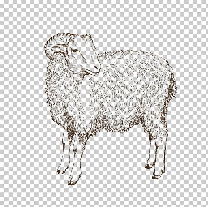 Sheep Animal Husbandry PNG, Clipart, Animal Husbandry, Animals, Black And White, Cow Goat Family, Drawing Free PNG Download