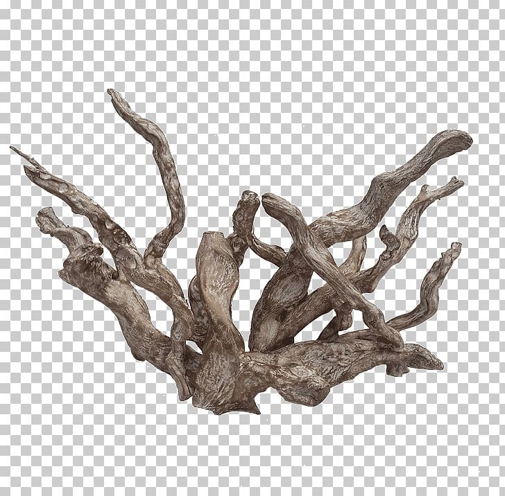 Art Driftwood White River Coral Pacific PNG, Clipart, 3d Computer Graphics, 3d Modeling, Art, Branch, Com Free PNG Download