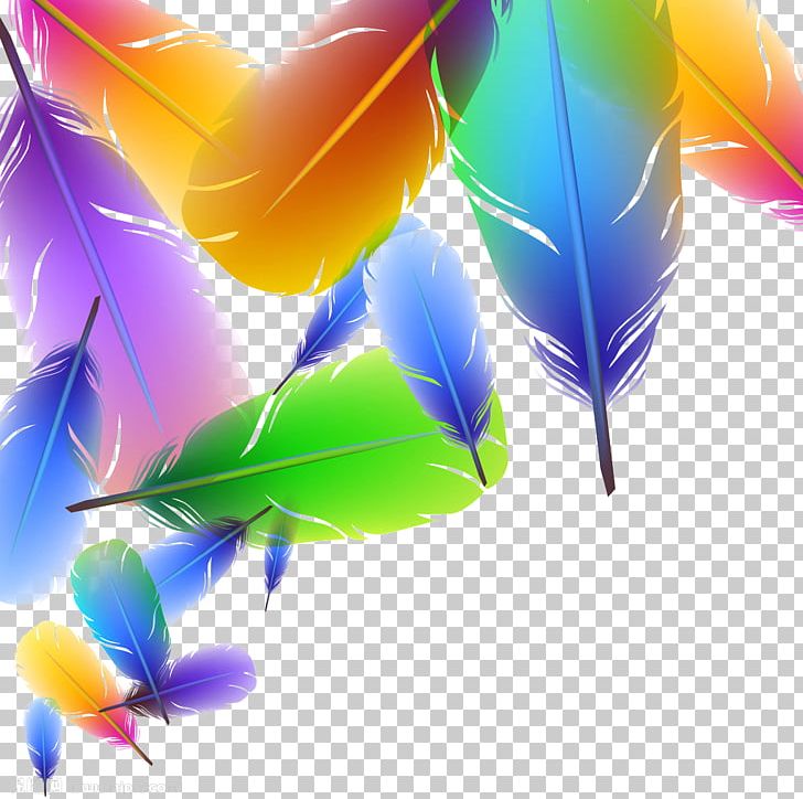Feather Color Euclidean Illustration PNG, Clipart, Animals, Color, Computer Wallpaper, Feather, Feather Pen Free PNG Download