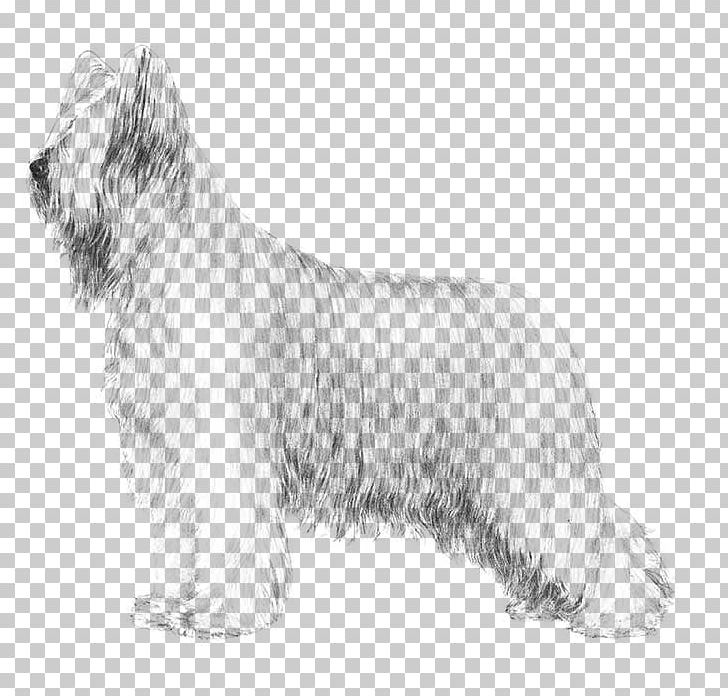 Skye Terrier Glen Briard Cesky Terrier Tibetan Terrier PNG, Clipart, Carnivoran, Companion Dog, Dog Breed, Dog Breed Group, Dog Like Mammal Free PNG Download