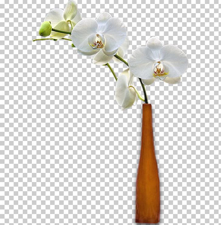 Vase Cut Flowers Moth Orchids PNG, Clipart, Branch, Cicek Buketleri, Cut Flowers, Flora, Floral Design Free PNG Download