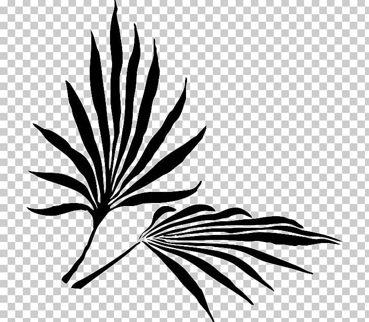 Palm Branch Frond Arecaceae PNG, Clipart, Arecaceae, Artwork, Black And White, Branch, Clip Art Free PNG Download