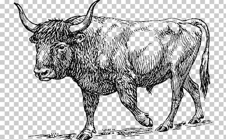 Texas Longhorn Aurochs English Longhorn PNG, Clipart, Aurochs, Bison, Black And White, Bull, Bull Skull Free PNG Download