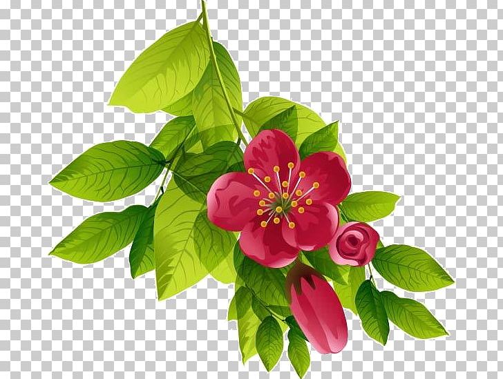 Cut Flowers PNG, Clipart, Branch, Coreldraw, Cut Flowers, Download, Encapsulated Postscript Free PNG Download