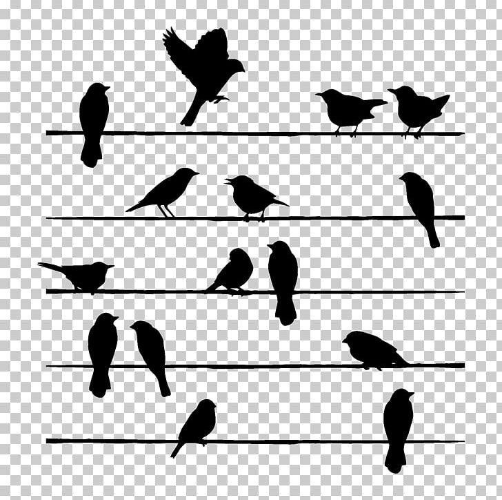Silhouette Bird Drawing Painting PNG, Clipart, Angle, Animals, Art, Beak, Bird Free PNG Download
