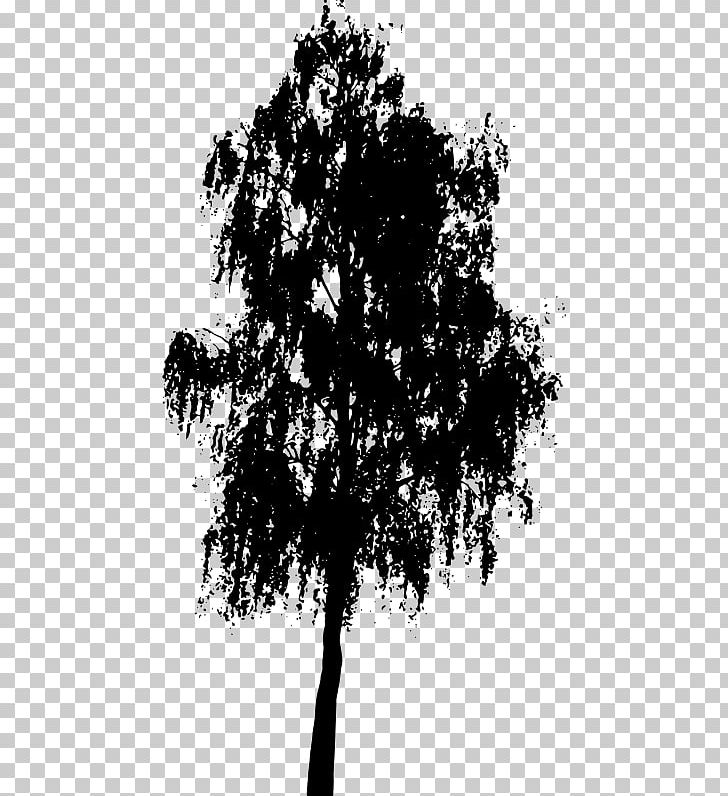 Tree Silhouette PNG, Clipart, Black And White, Branch, Desktop Wallpaper, Download, Drawing Free PNG Download