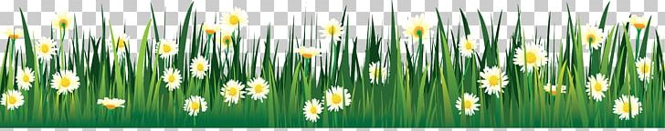 Flower Drawing Tulip Lawn PNG, Clipart, Commodity, Computer Icons, Computer Wallpaper, Daffodil, Drawing Free PNG Download