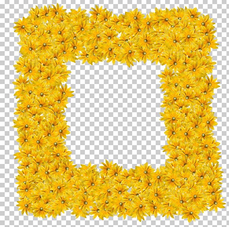 Yellow Frames Flower Drawing Color PNG, Clipart, Bbcode, Color, Cut Flowers, Drawing, Flower Free PNG Download