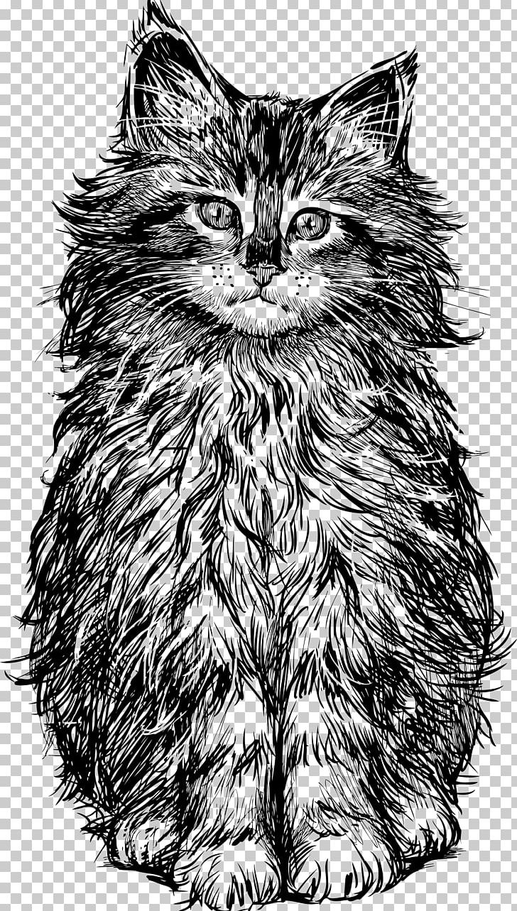 Cat Kitten Drawing PNG, Clipart, Animals, Black And White, Carnivoran, Cat Like Mammal, Fictional Character Free PNG Download