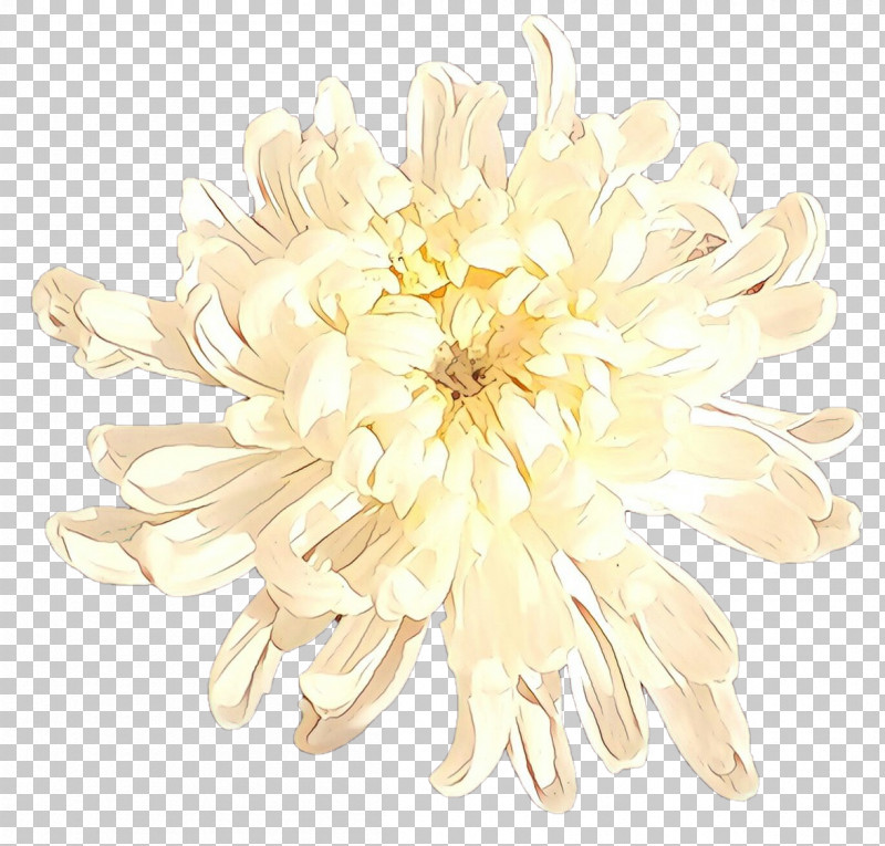 White Flower Plant Petal Yellow PNG, Clipart, Cut Flowers, Dahlia, Daisy Family, Flower, Petal Free PNG Download