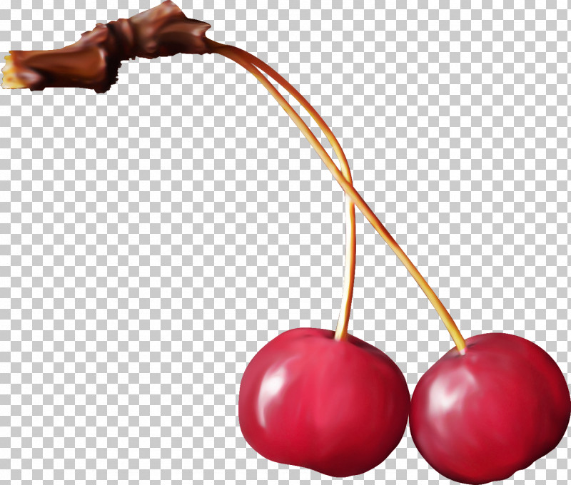 Cherry Plant Fruit PNG, Clipart, Cherry, Fruit, Plant Free PNG Download